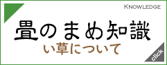 畳のまめ知識　い草について